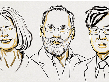 Nobel z medycyny dla trójki naukowców