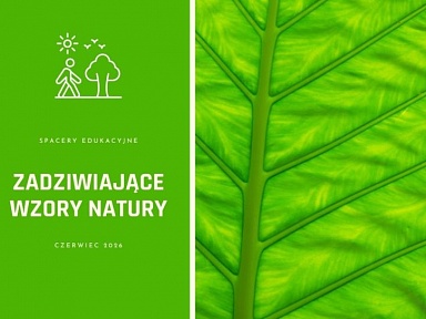 Czerwiec blisko natury w Miejskim Centrum Ekologicznym