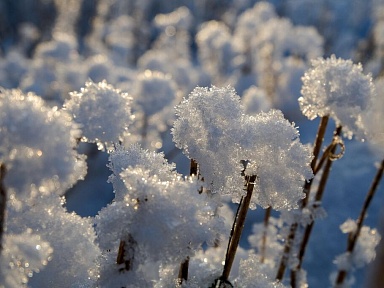 Szybka reakcja zapobiegła tragedii